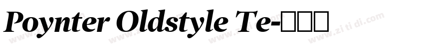 Poynter Oldstyle Te字体转换